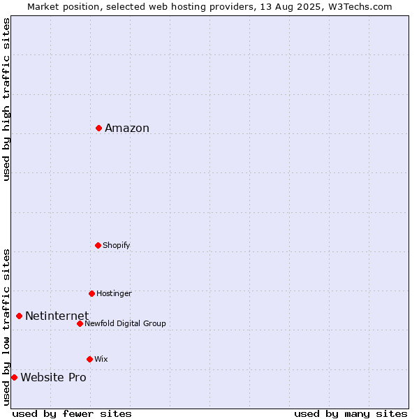 Market position of Amazon vs. Netinternet vs. Website Pro