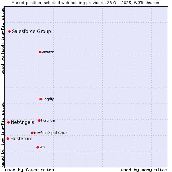 Market position of Salesforce Group vs. NetAngels vs. Hostatom