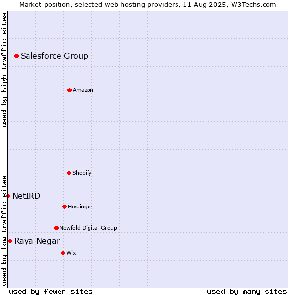 Market position of Salesforce Group vs. Raya Negar vs. NetIRD