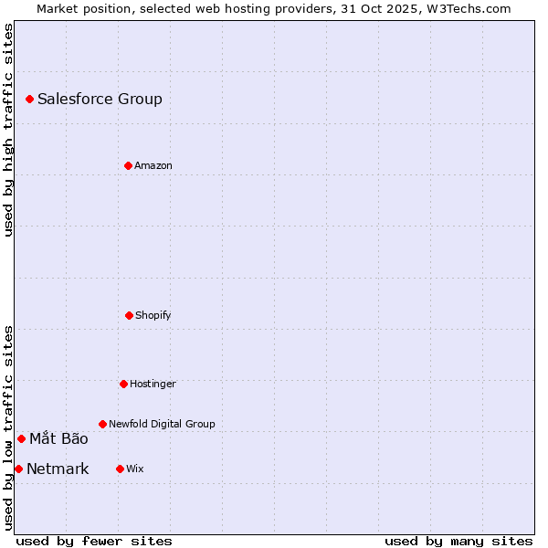 Market position of Salesforce Group vs. Mắt Bão vs. Netmark