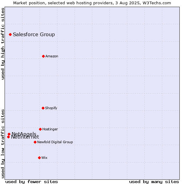 Market position of Salesforce Group vs. NetAngels vs. Netinternet