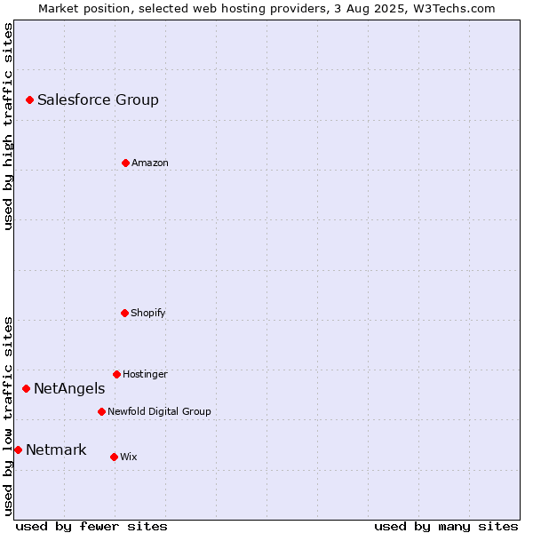 Market position of Salesforce Group vs. NetAngels vs. Netmark